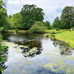 24-06-22 13-46-32 9772